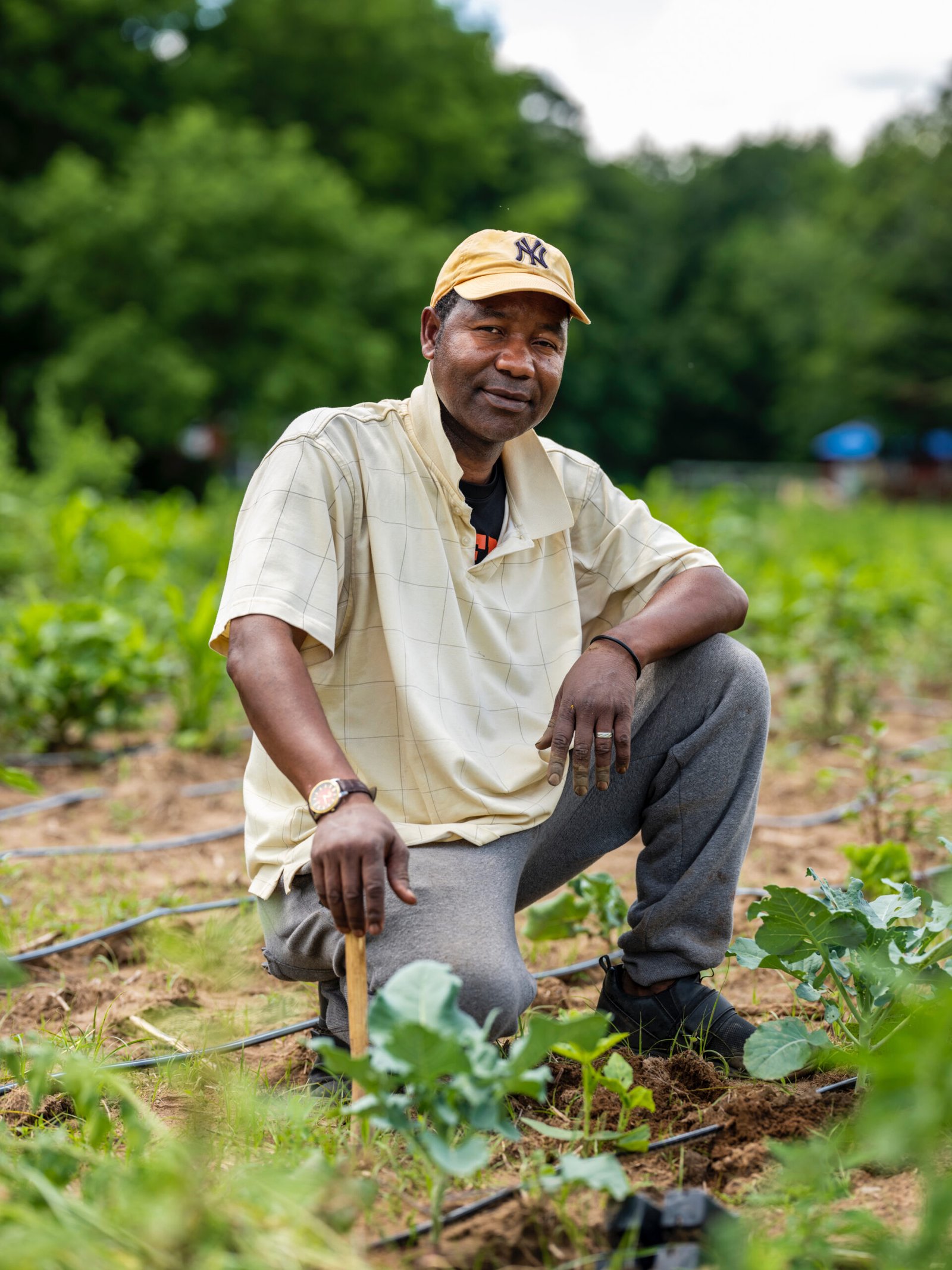Farmers working together